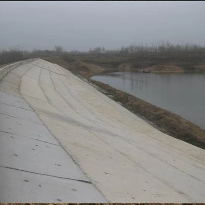 水库除险加固工程背坡施工后照片