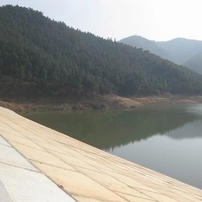 水库除险加固工程背坡施工后照片